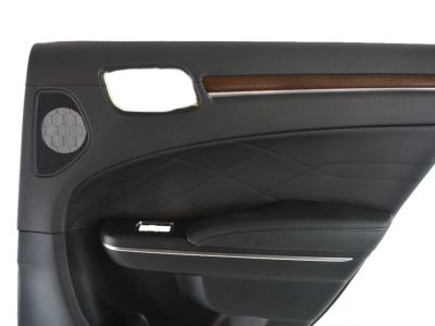 5PG60DX9AD Mopar Panel Assembly Rear Door Trim Product Photo 3 of 3