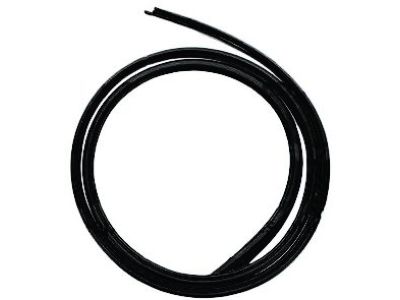 Jeep 68029995AD Lift Gate Weatherstrip