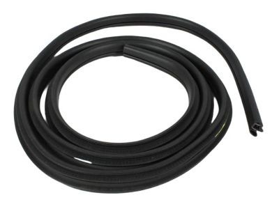 Dodge 55277295AA Weatherstrip