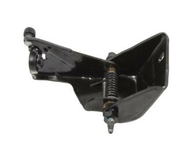Dodge Caravan Door Hinge - 4894036AE