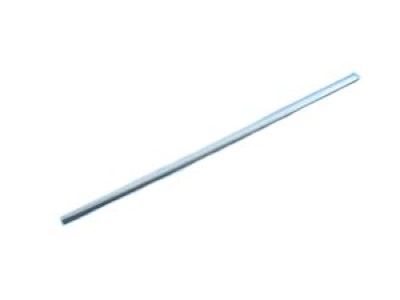 Chrysler 68188802AF MOLDING Front Door Sliding Door Molding