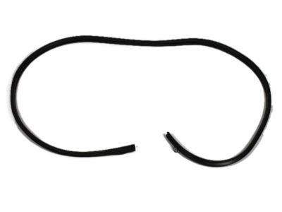 Dodge 5076863AE WEATHERSTRIP Front Door Opening Body Mounted