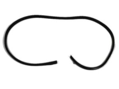 Dodge 5076863AE WEATHERSTRIP Front Door Opening Body Mounted