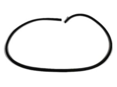 Dodge 5076863AE WEATHERSTRIP Front Door Opening Body Mounted