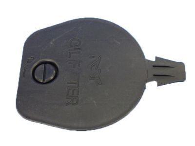 Chrysler 68248174AA DOOR Filter Access