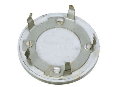 Dodge Wheel Cover - TW94XZAAA