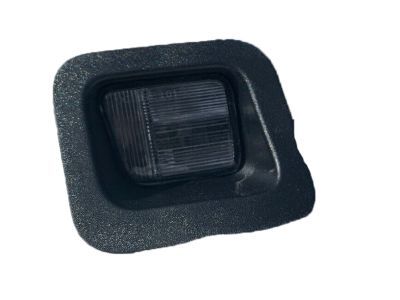 Dodge 55078094AC LAMP License Plate