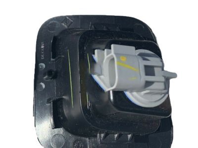 Dodge 55078094AC LAMP License Plate