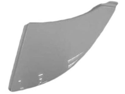 Ram 1ZT61ZZZAA Headlamp Bezel