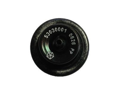 Jeep Fuel Pressure Regulator - 53030001