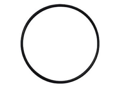 Jeep 68005261AA O-RING Extension