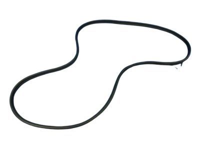 Ram 68226159AA WEATHERSTRIP Front Door