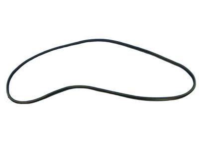 Ram 68226159AA WEATHERSTRIP Front Door