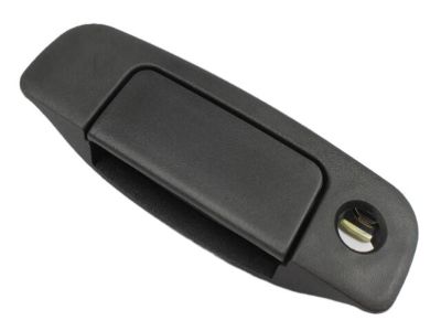 Dodge 55256558AD Handle