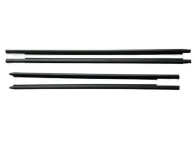 Ram 55372138AH WEATHERSTRIP Rear Door Belt Outer