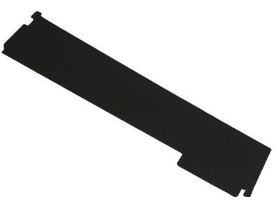 Ram 55372277AC APPLIQUE Rear Door