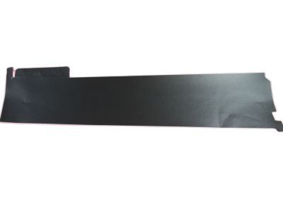 Ram 55372277AC APPLIQUE Rear Door