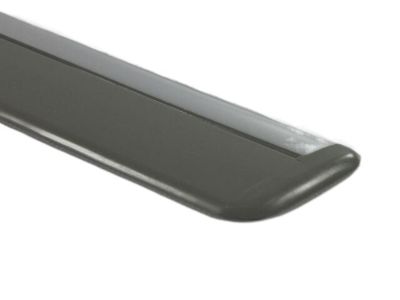 2007 Dodge Magnum Door Moldings - 5179259AA