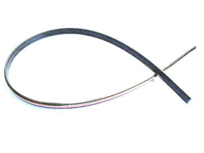 Dodge WS59RXFAE Roof Molding