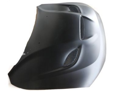 Dodge 68309501AD HOOD