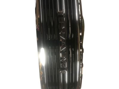 Mopar 68404863AD Grille Radiator Big Horn, Laramie
