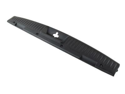 Ram ZR38DX9AE Scuff Plate