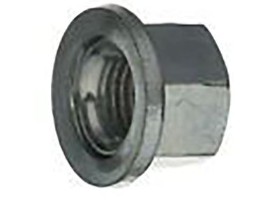 Mopar 6509661AA Nut Plastic Police Package