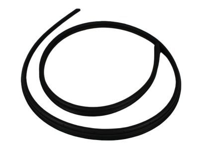 Jeep Liberty Door Seal - 55360964AC