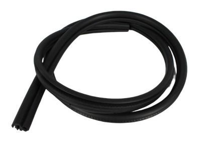 Jeep Liberty Door Seal - 55360964AC