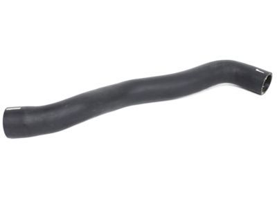 Chrysler 300M Radiator Hose - 4767161