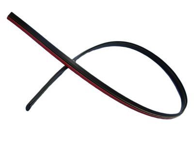 Dodge WS59RXFAD MOLDING Roof