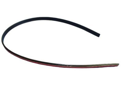 Dodge WS59RXFAD MOLDING Roof