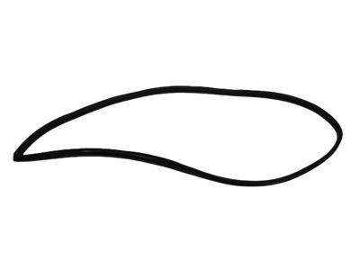 Chrysler Town & Country Door Seal - 4717728AC