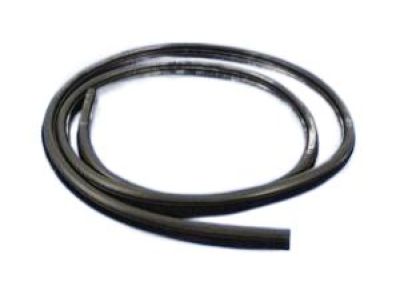 Dodge 1KW33DX9AC WEATHERSTRIP Front Door Opening On Body