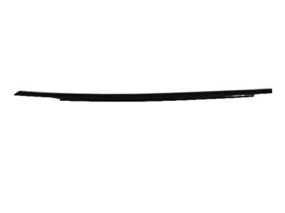 Dodge 57010349AB WEATHERSTRIP Front Door Belt