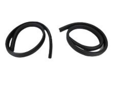 Dodge Ram 1500 Van Door Seal - 55359202AB