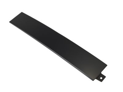 Mopar 4806302AB Applique Front Door