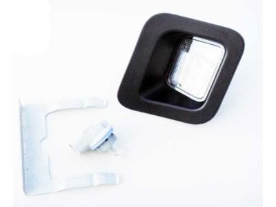 Dodge 55078095AC LAMP License Plate