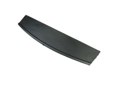 Chrysler 68028458AB Back Panel