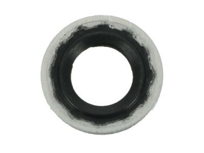 Jeep 68152002AA Liquid Line O-Ring