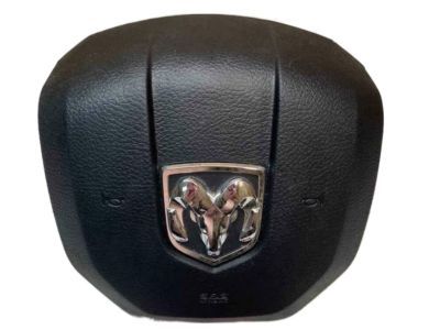 Ram Air Bag - 1EF19DX9AJ