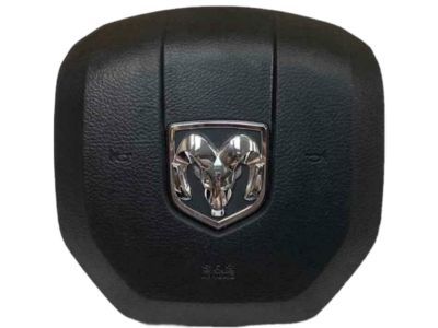 Ram Air Bag - 1EF19DX9AJ