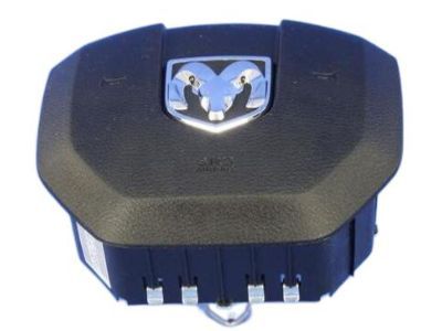 Ram Air Bag - 1EF19DX9AJ