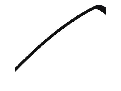 Mopar 57010507AG Molding Rear Door