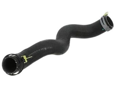 Dodge Durango Radiator Hose - 55038025AB