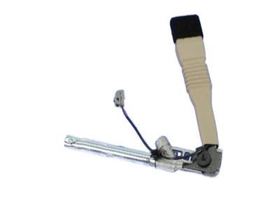 Chrysler 300 Seat Belt - 1HZ101L1AF