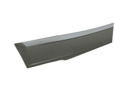 2007 Dodge Magnum Door Moldings - 5179257AA