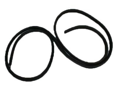 2002 Dodge Ram 3500 Weather Strip - 55276503AA