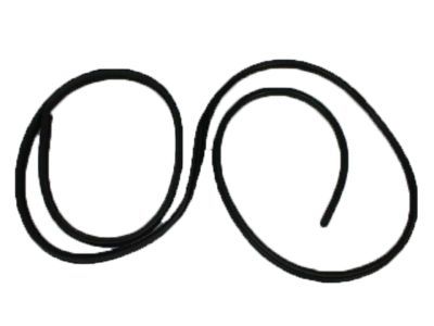 2002 Dodge Ram 3500 Weather Strip - 55276503AA