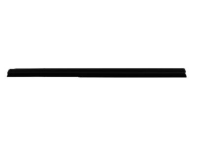 Dodge 55276896AB WEATHERSTRIP Door Belt